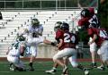 Eastern JV040