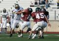 Eastern JV042