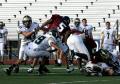 Eastern JV044