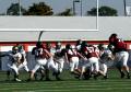 Eastern JV047