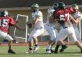 Eastern JV049