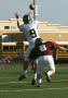 Eastern JV052