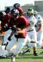 Eastern JV053