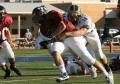 Eastern JV054