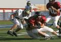 Eastern JV056