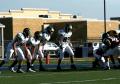 Eastern JV057