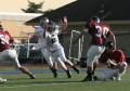 Eastern JV058