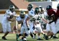 Eastern JV061