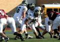 Eastern JV062