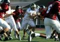 Eastern JV065