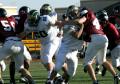 Eastern JV066