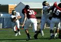 Eastern JV069