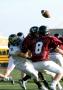 Eastern JV071