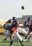 Eastern JV072