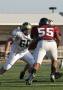 Eastern JV074