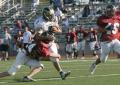 Eastern JV084
