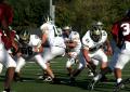 Eastern JV086