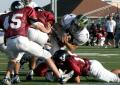 Eastern JV089