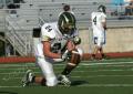 Eastern JV091