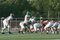 Eastern JV129
