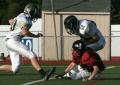 Eastern JV134