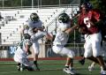 Eastern JV137