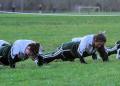 Lenape JV133