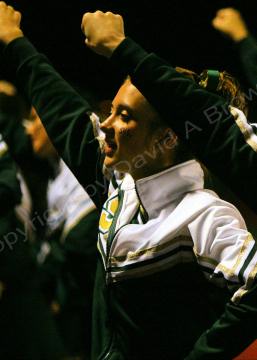 Lenape V023