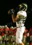 Lenape V003