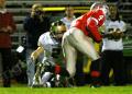 Lenape V037
