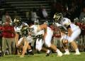 Lenape V041