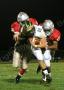 Lenape V049