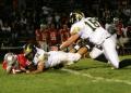 Lenape V065