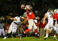 Lenape V090
