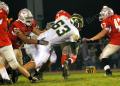 Lenape V148
