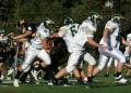 Mtown JV003