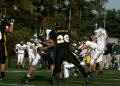 Mtown JV010