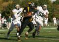 Mtown JV013
