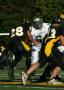Mtown JV017