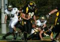 Mtown JV018