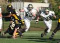 Mtown JV023