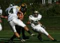 Mtown JV029