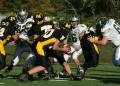 Mtown JV031