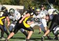 Mtown JV038
