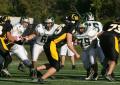 Mtown JV039