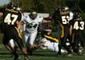 Mtown JV040
