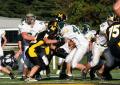 Mtown JV043