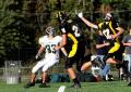 Mtown JV045