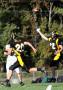 Mtown JV046
