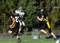 Mtown JV047